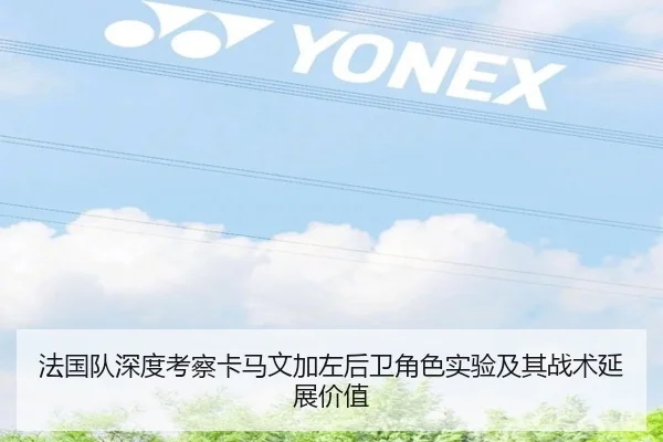 img_1780608202711_433_1_230.jpg